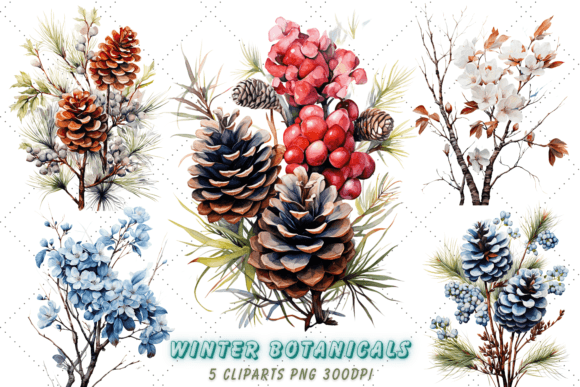 Download Winter Watercolor Botanicals Clipart - Botanicals Collection