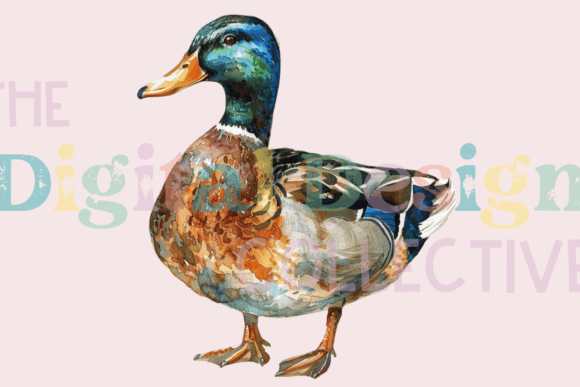 Download Mallard Duck Clipart PNG - Clipart png Collection