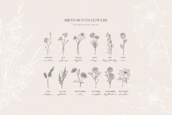 Download Birth Month Flowers, Botanicals - Botanicals Collection