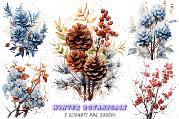 Download Watercolor Botanicals Clipart | Winter - Botanicals Collection